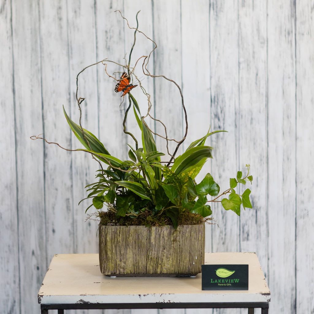 Rendevous - A green plant garden lushly fills a wood pattern, concrete rectangle with a butterfly hovering above.    Approximate Dimensions: 17&quot; H x 13&quot; W