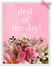 Deal of the Day - DOD Standard 1