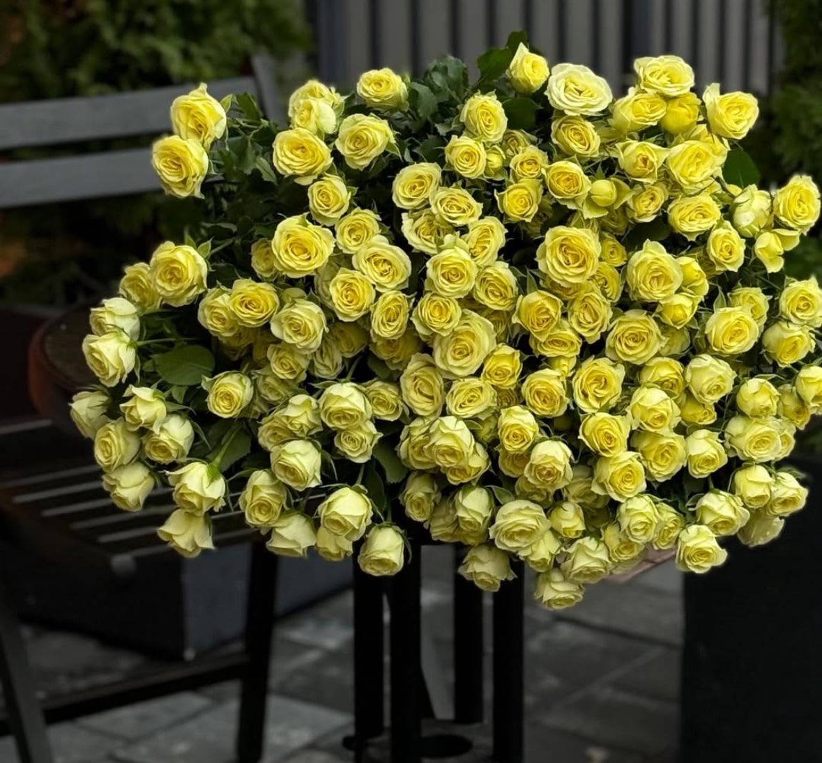 bouquet of 60 spray yellow roses bouquet of 60 spray yellow roses - bouquet of 60 spray yellow roses