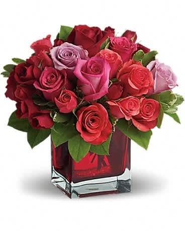 Madly in Love Bouquet with Red Roses by Teleflora - If you're crazy about someone and not afraid to show it, this bright jewel-toned arrangement is the perfect way to express your love. Lavender, red and hot pink roses along with coral and red spray roses arranged in a red-hot cube vase are an absolutely beautiful way to get your message across.