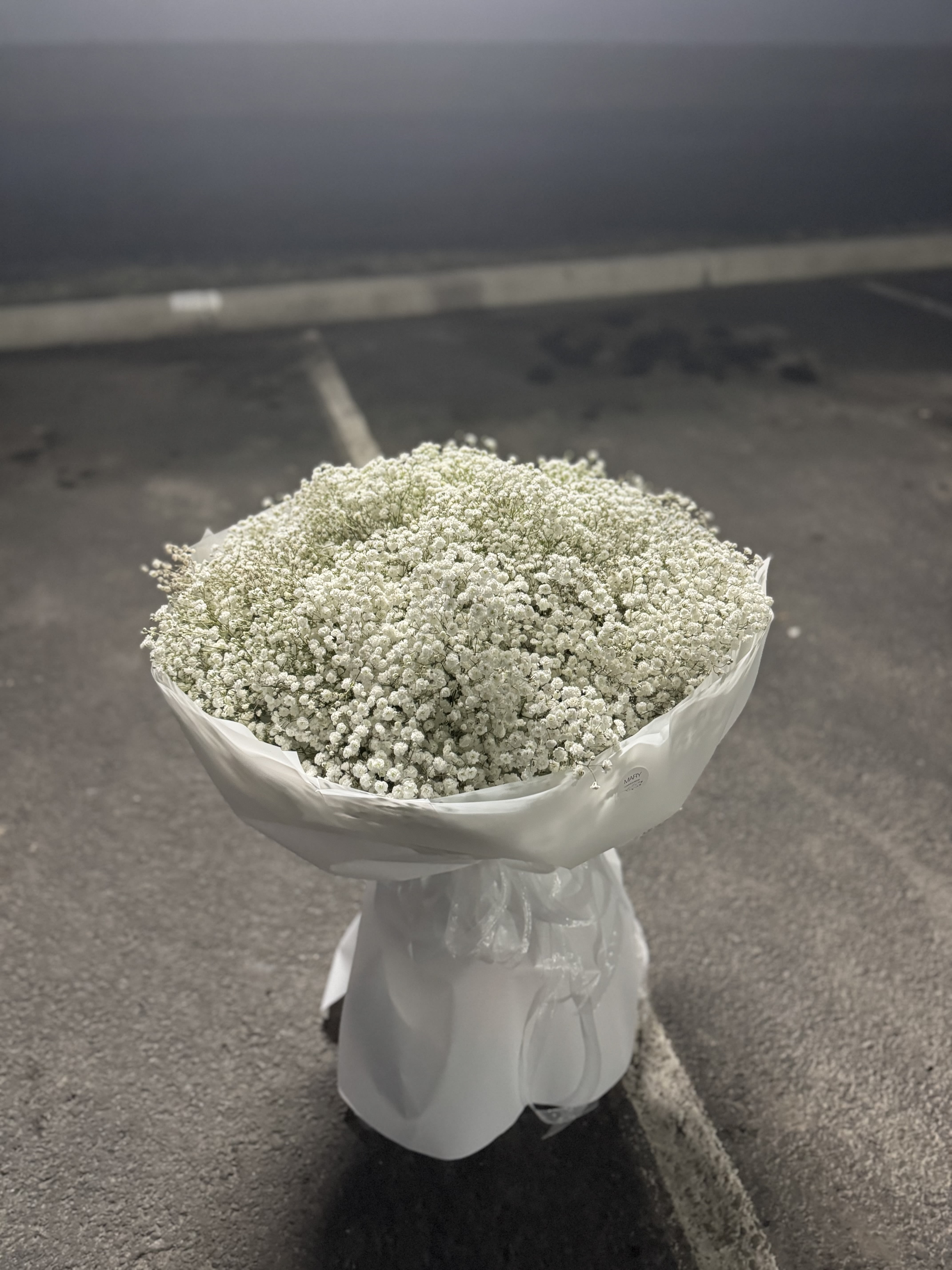 bouquet of airy gypsophila bouquet of airy gypsophila - bouquet of airy gypsophila