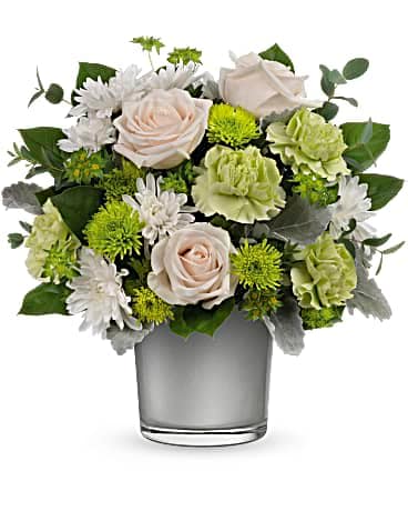 Teleflora's Light On The Water Bouquet - Like sunlight on the water, this light-filled bouquet of crÃ¨me roses in a silver glass keepsake vase is a gift of calming beauty. CrÃ¨me roses, green carnations, green cushion spray chrystanthemums and white cushion spray chrysanthemums are arranged with bupleurum, dusty miller, lemon leaf and parvifolia eucalyptus. Delivered in a Polished Gem Cylinder.