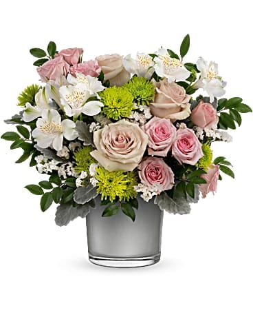 Teleflora's Silver Splendor Bouquet - Nothing delights like the prettiest pink roses, artistically arranged in a shimmering, silver moonstone glass vase! This pretty bouquet includes light pink roses, pink spray roses, white alstroemeria, green cushion spray chrysanthemums, white sinuata statice, dusty miller and huckleberry. Delivered in a Polished Gem Cylinder.