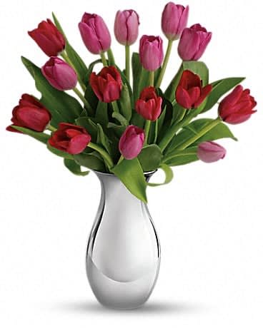 Teleflora's Sweet Surrender Bouquet - Surrender to the elegant, natural beauty of tulips. Over a dozen red and pink flowers are presented in our graceful Silver Reflections vase. It's an understated presentation that highlights the tulips' natural beauty - as well as your love and friendship. This gorgeous bouquet includes seven red tulips and eight pink tulips, delivered in our exclusive Silver Reflections vase, a metalized ceramic vase with a light pink tone.