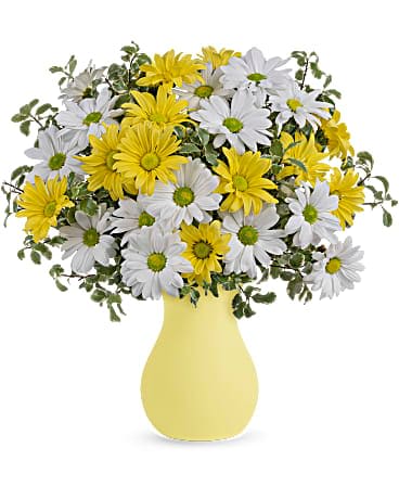 Teleflora's Upsy Daisy Bouquet - What could be sweeter than a cheerful yellow vase filled with white and yellow daisies? Can't think of anything? Then choose this sunny bouquet. It will brighten their day. The bright bouquet includes white daisy spray chrysanthemums, yellow daisy spray chrysanthemums and bupleurum accented with fresh greenery.Delivered in a bright yellow vase.