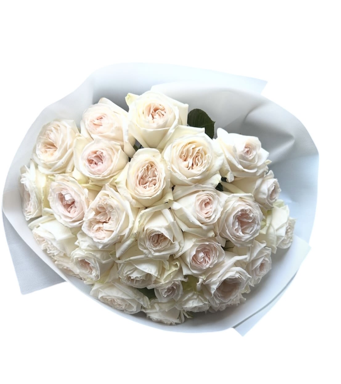Roses that smell very strongly of honey - Roses that smell very strongly of honey