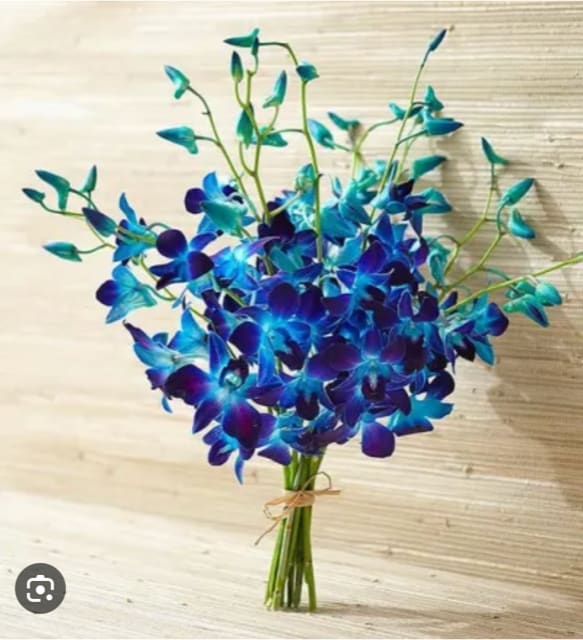 Blue Orchids in Vase Blue Orchids in Vase - 10 or 20 orchids in vase