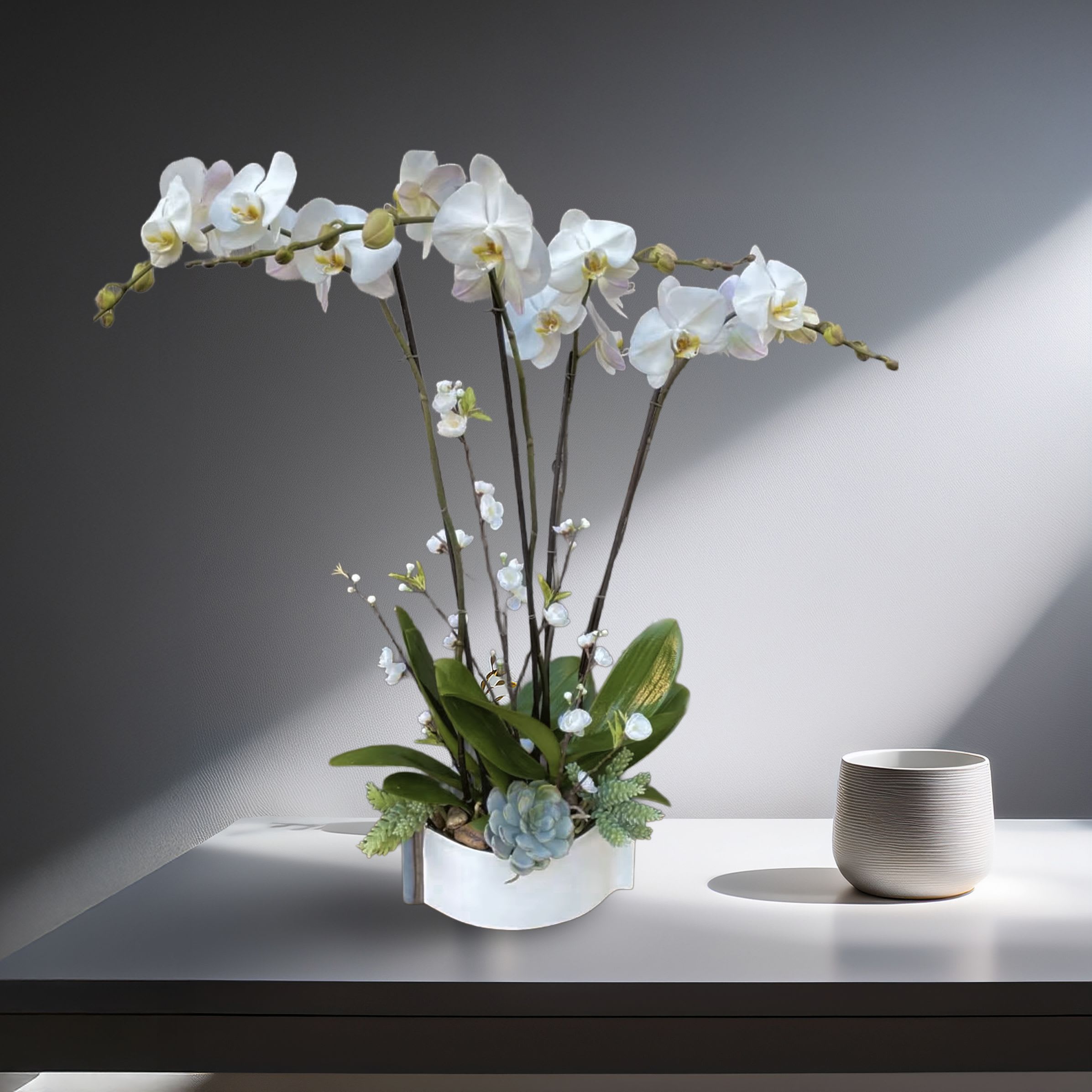 Cozy Blooms Cozy Blooms - Sophisticated and sculptural, this graceful white orchid arrangement features multiple stems of premium phalaenopsis orchids artfully displayed in a low, modern white ceramic planter, accented with succulents, moss, and natural foliage for a serene and balanced design. Perfect for luxury interiors, spa environments, executive suites, or modern gifting, this piece embodies the essence of refined floral minimalism. Handcrafted by Touch Of Orchids LA, this orchid composition is a favorite among clients in Brentwood, Beverly Hills, West Hollywood, and Downtown LA, delivering beauty that is both timeless and architectural. Its clean lines and calming palette make it ideal for condolence gestures, contemporary home décor, or elevated real estate staging. Long-lasting and low-maintenance, this arrangement is the perfect fusion of modern elegance and natural sophistication, making a lasting impression wherever it’s placed.