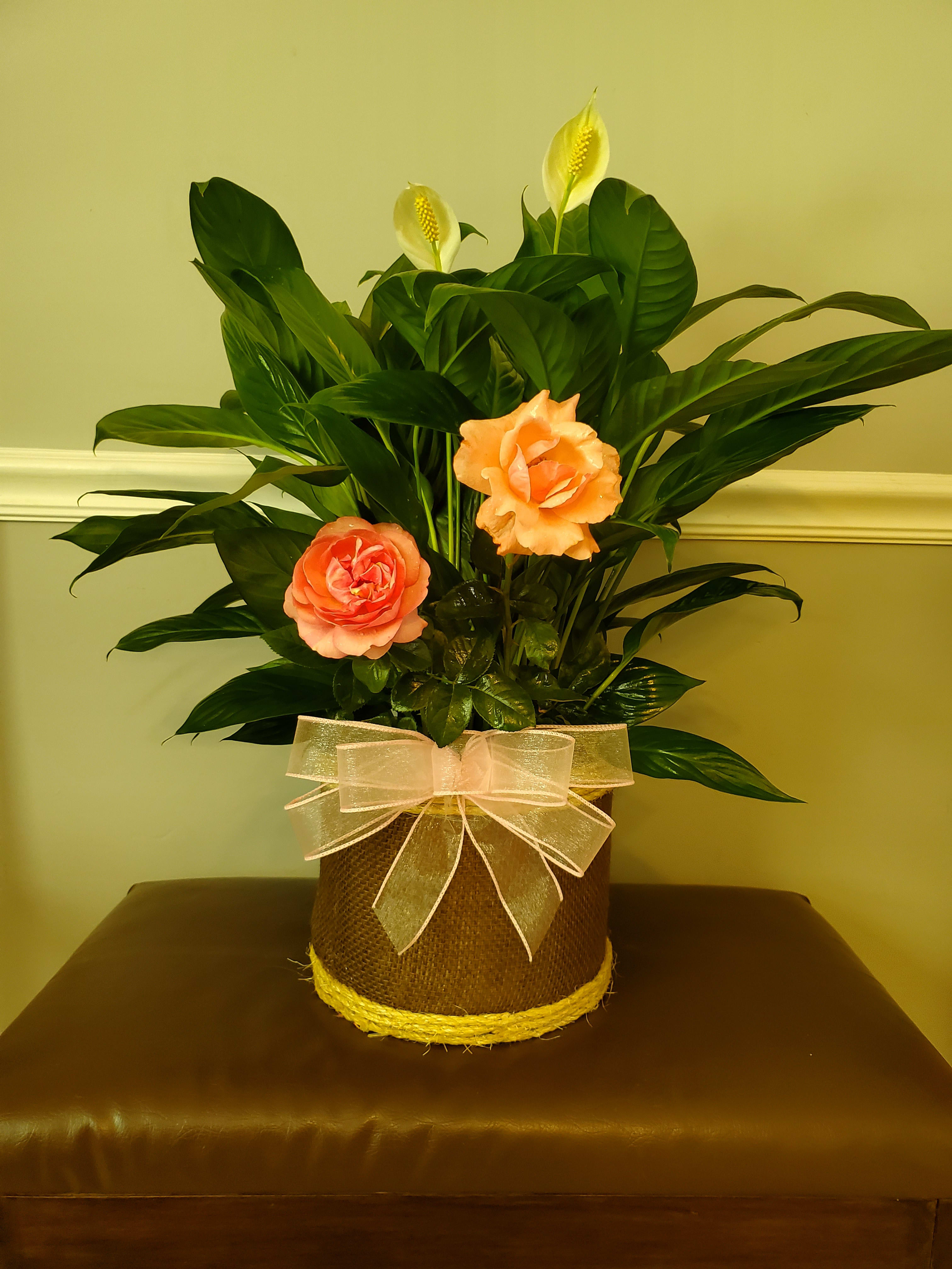 Any Ocassion Plant with added flowers. Other plants available upon ...