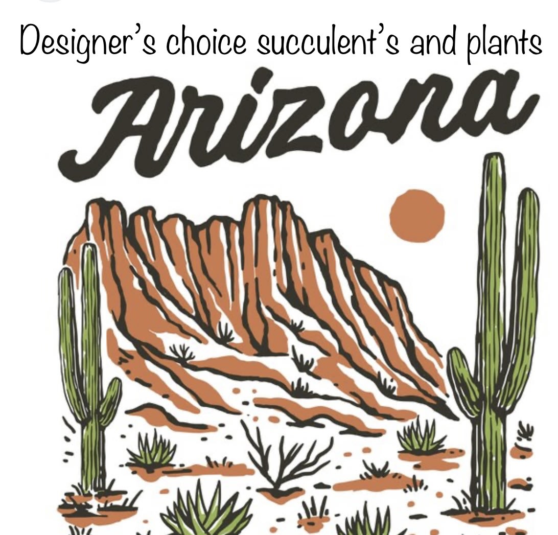 Designers choice succulents and plants  - The designer will use all her talent and create an exclusive and unique gift for you in which every detail will make a difference. Let us know in the special instructions any details that we can inspire for the recipient.