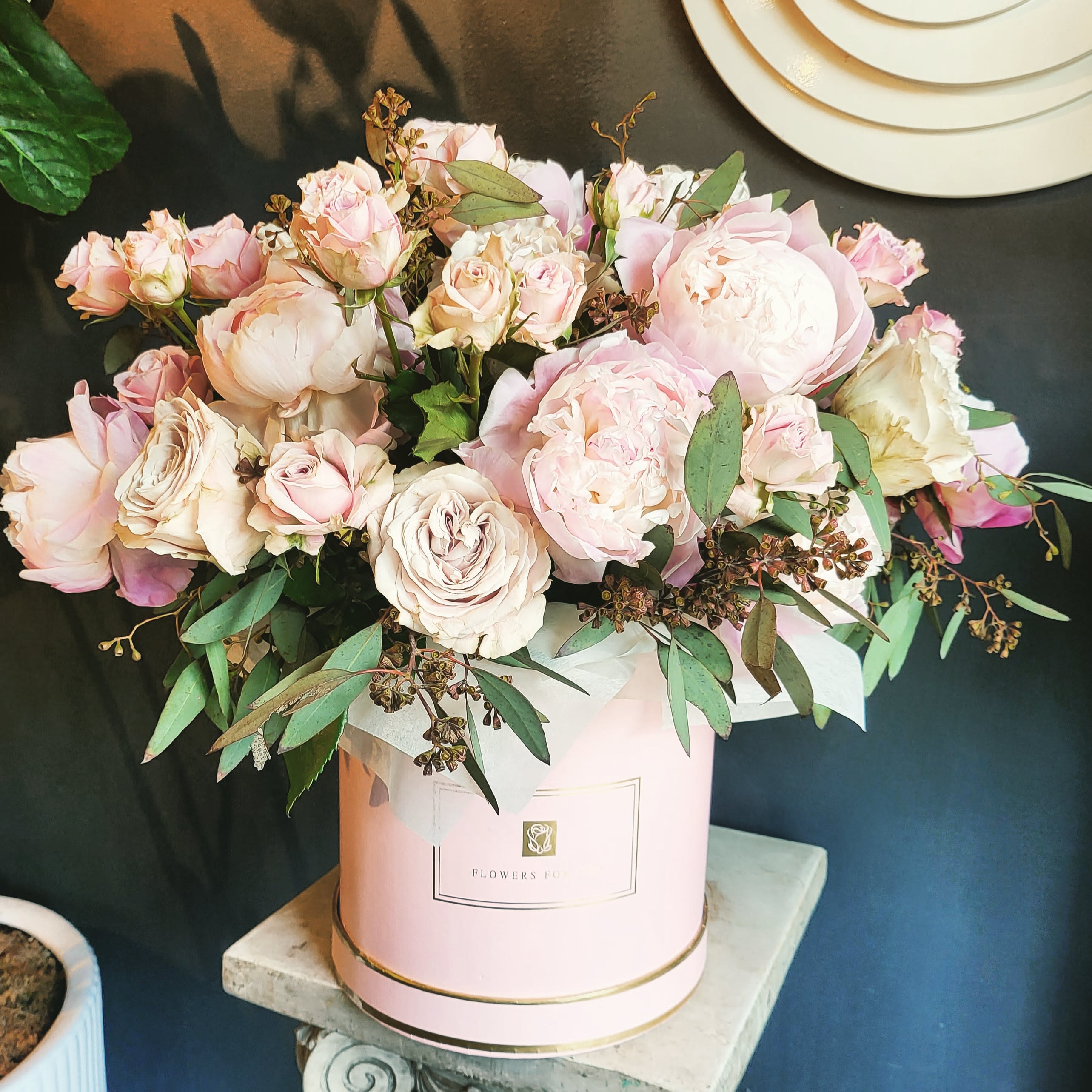 SG-7 : Bonjour - -18 Peonies or more (Mother’s Day peonies are from Europe, mostly from France) in a modern box.  *** Coral color peonies are also available. Please leave a note for our florist. ***  * Standard size; Width 14 ~ 15” Length 15 ~ 16”  Note - Color of boxes are a subject to change if pink boxes gets sold out.