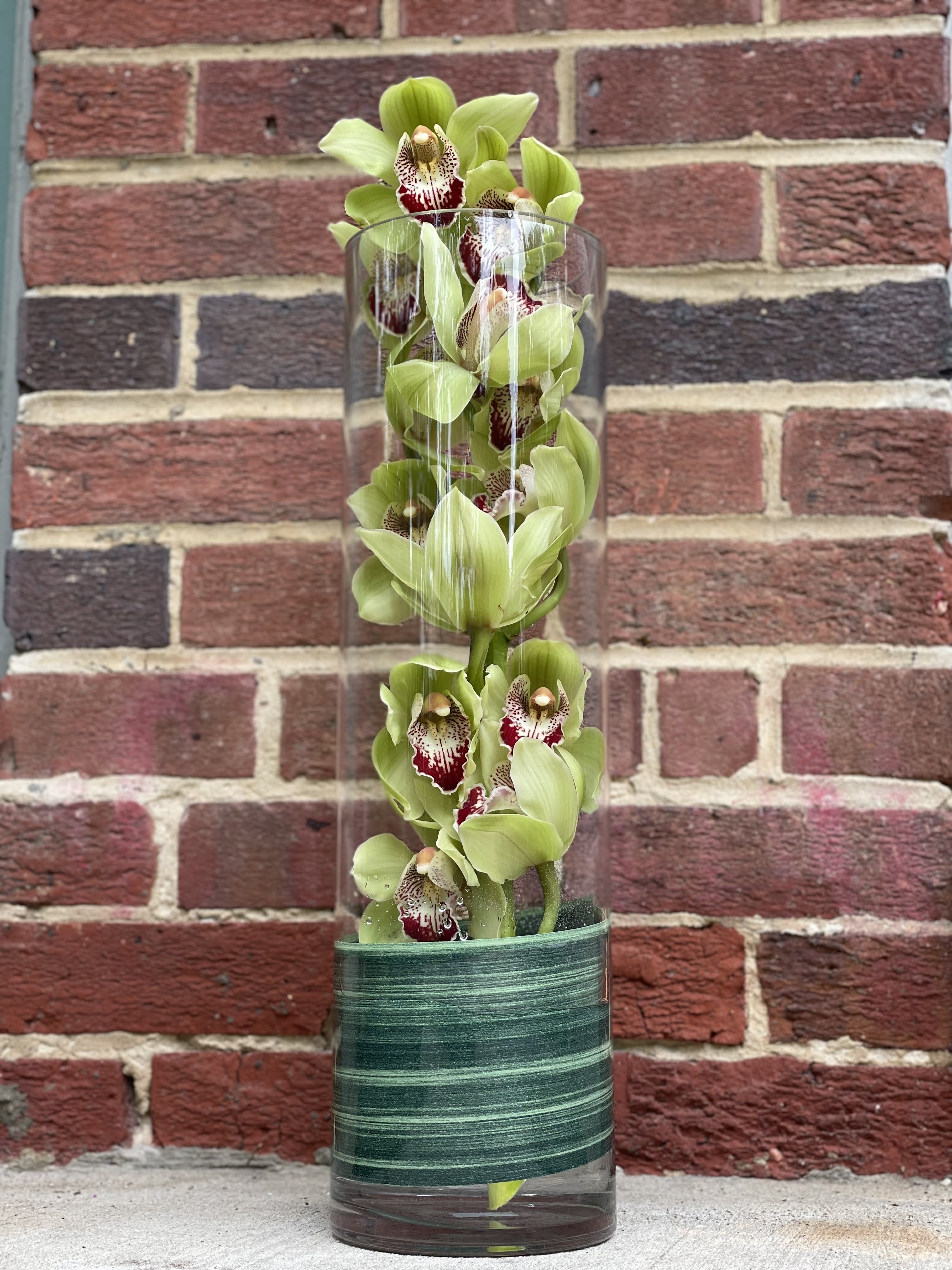 Orchid Elegance Orchid Elegance - A single cymbidium orchid stem in glass cylinder vase for any special occasion. Note: The cymbidium orchid color can be changed upon request