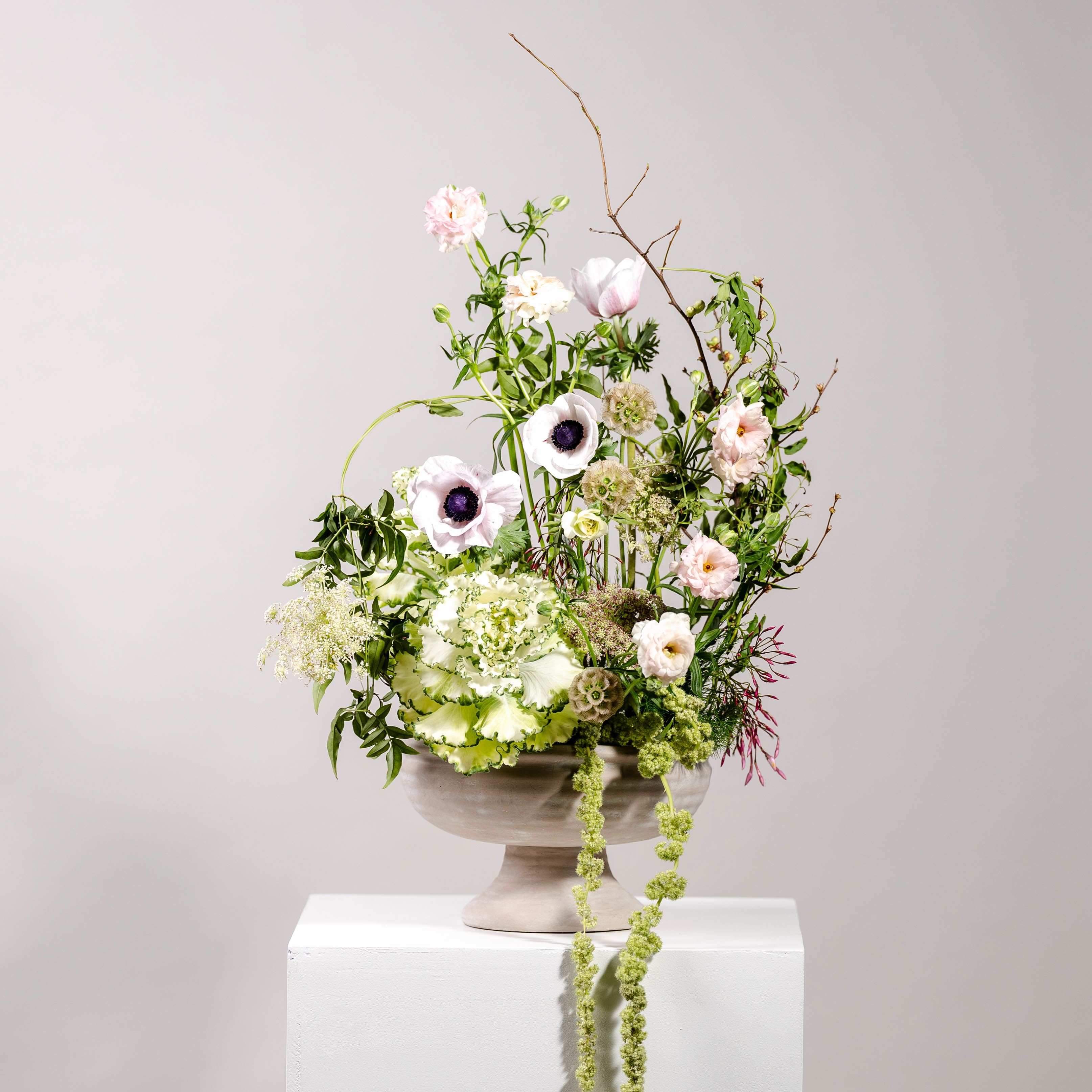 I Dreamed a Dream - This arrangement is a breath of calm and quiet wonder. Blush-toned blooms and delicate white anemones dance among airy textures and light greenery. Curled vines, lacy Queen Anne's lace, and cascading amaranthus create gentle movement, while ornamental kale adds a lush, grounding touch. All are arranged in a classic stone-toned vessel.  Perfect for marking tender moments, thoughtful gestures, or simply bringing nature’s poetry indoors.  *Picture shown is of DELUXE arrangement 