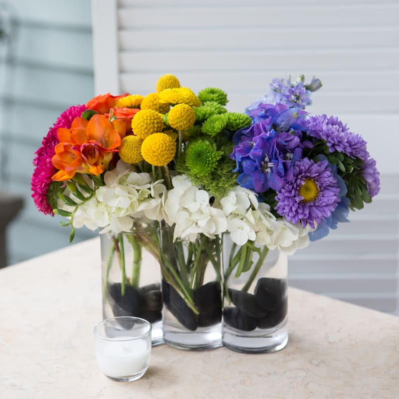 Rainbow Garden Rainbow Garden - Modern design featuring white hydrangeas and colorful mix.