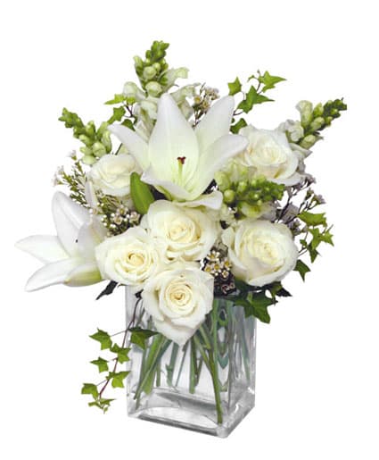 Wonderful White - This elegant sympathy arrangement is beautifully showcased in a 7&quot; rectangular vase, conveying a sense of serenity and grace. Adorned with lush ivy foliage, this bouquet features four exquisite white snapdragons that symbolize strength and resilience. Six pristine white roses express love and respect, while a single stem of white Asiatic lily adds a touch of purity and remembrance. Complementing this harmonious arrangement are two delicate stems of white waxflower, representing enduring love and beauty. Together, these blossoms create a heartfelt tribute, offering comfort and solace to those in mourning.
