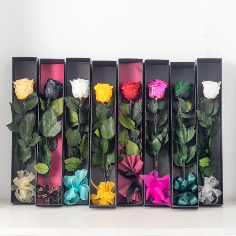 Single Perserved Real Roses - Single Perserved Real Roses
