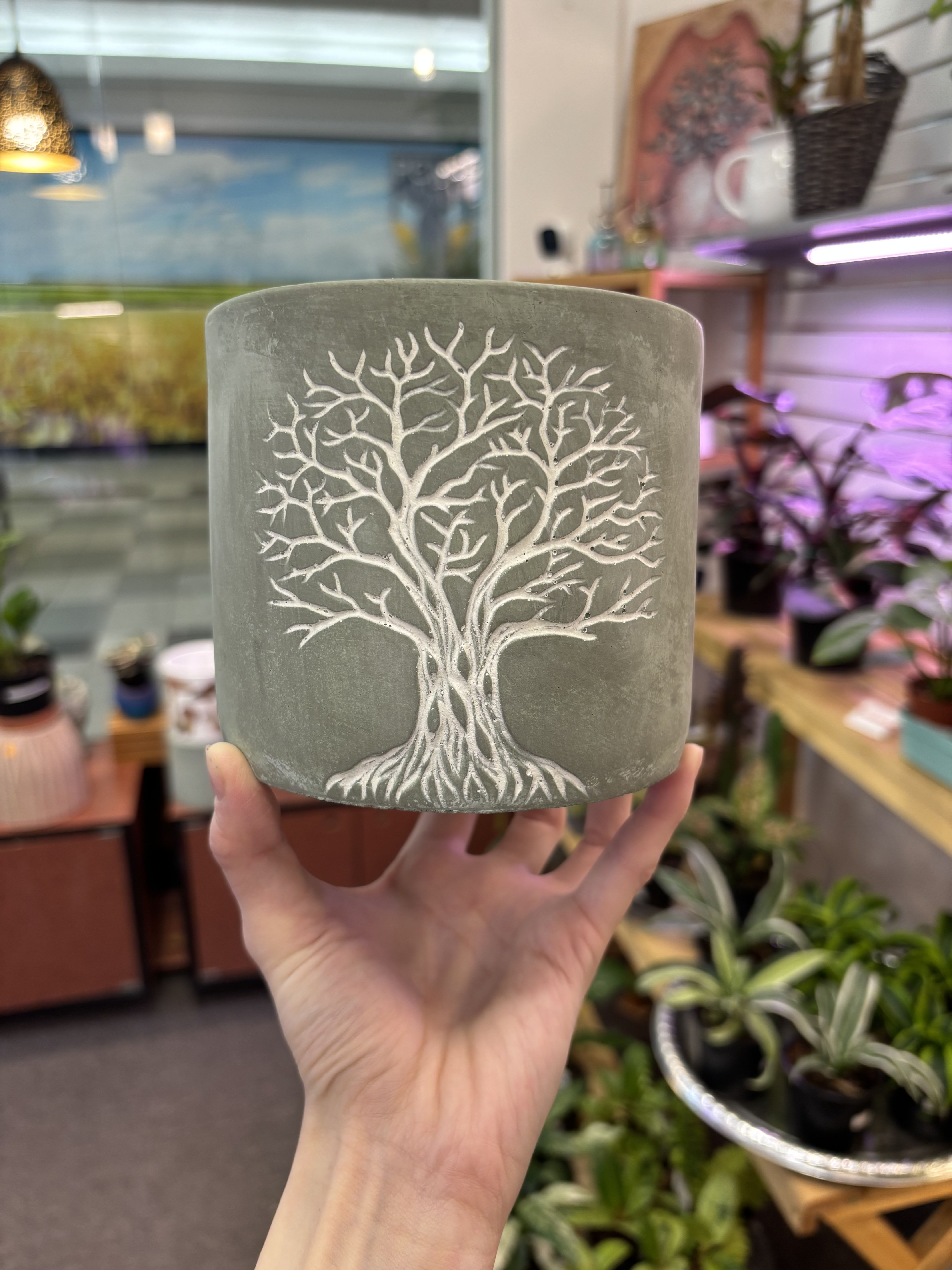 Tree Life of Planter Tree Life of Planter - 4” and 6-8” inches pot will be fitted