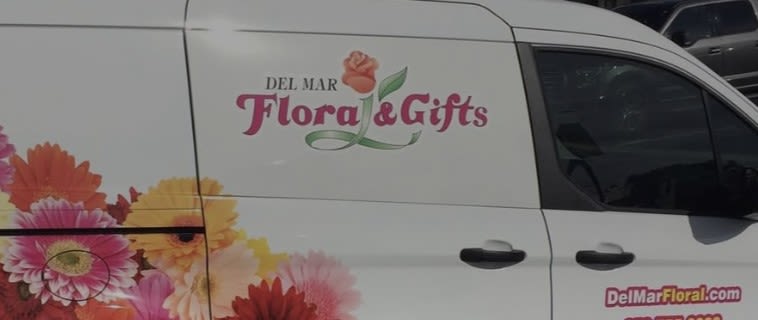 Delivery/pickup Delivery/pickup - Delivery/Pick up