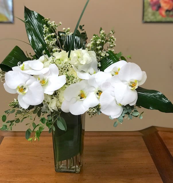 &quot;Wishes Come True&quot; Bouquet - This beautiful and elegant floral arrangement features gorgeous white Phalaenopsis orchids and green hydrangeas in a flared glass vase. Send this flower arrangement as a gift for any occasion and let the simple beauty of this tropical delight express your feelings.