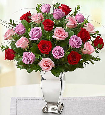 Rose Madley Rose Madley - Long stem roses speak volumes—and this classic bouquet of red, pink and lavender blooms