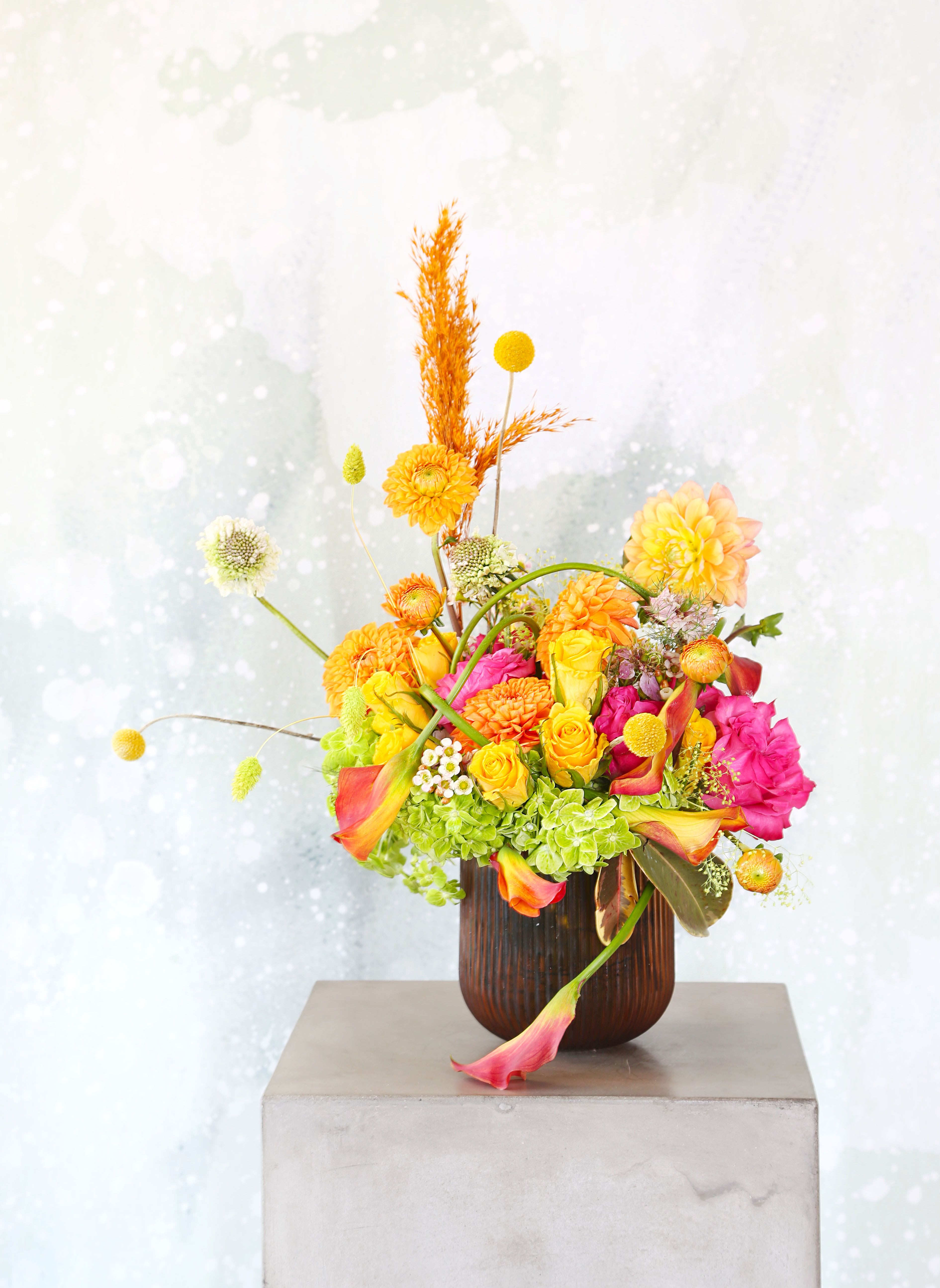 Cheers - A cheerful orange, fuchsia, yellow green color palette vase arrangement create with garden rose, dahlias, calla lillies, scabiosa, hydrangea with seasonal bloom. This modern colorful arrangement perfect to decor for a table or coffee table center piece. This arrangement arranges in 5&quot; brown glass vase and deliver with gift box with handwritten gift card.