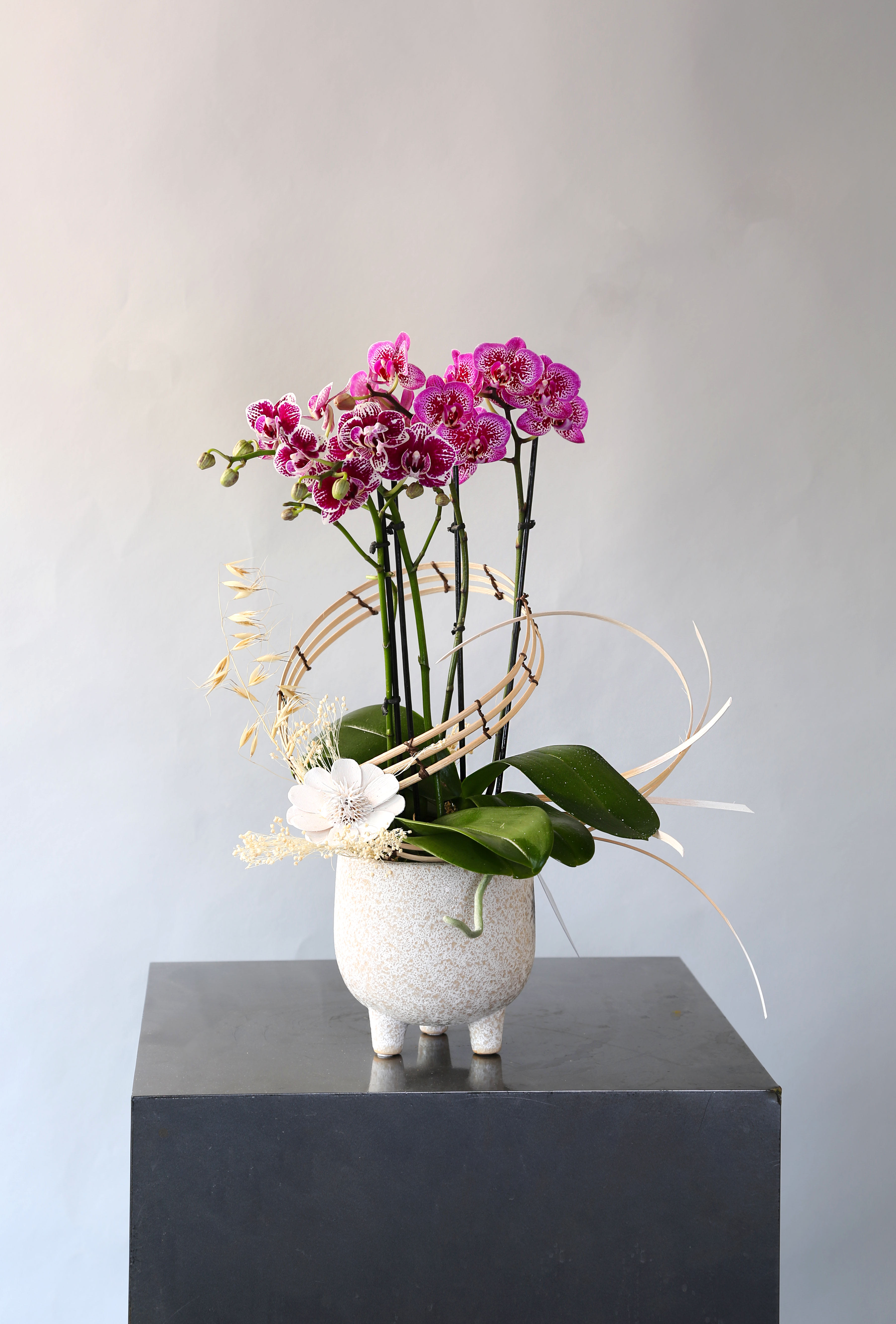 Petti Orchid - This petti  orchid arrangement arrange with handmade tatami stripe and wooden flower and dry material  This little cutie pie perfect for the bathroom or office desk decoration.