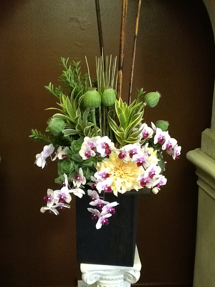 Paleanopsis in Bloom  - Very Elegant Floral Arrangement in a Wooden Box 