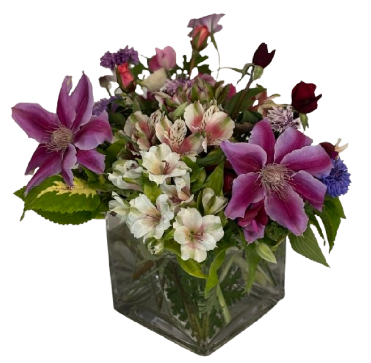 Purple Passion Bouquet - Purple Clematis and Alstroemeria and more flowers adorn this square vase for someone you love.
