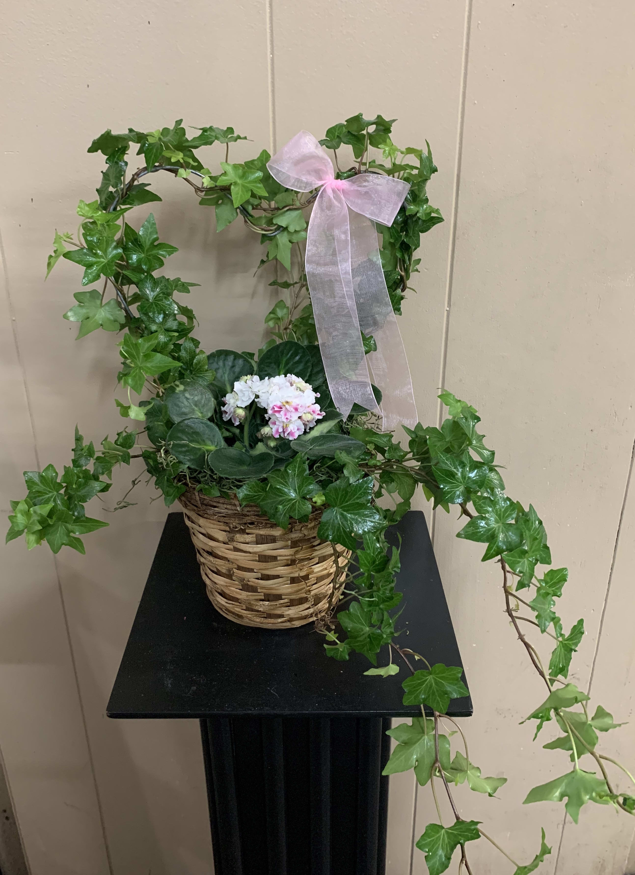 Ivy Heart Basket - This beautiful Heart Ivy topiary is a unique spin on a plant. In the center of the ivy is a blooming plant to add a splash of color. This non-traditional plant brings the outside blooming in.  *Plant color and variety as well as basket may vary depending on availability. ***Deluxe Upgrade is in ceramic pot with butterflies added