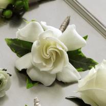  Gardeinia Boutonniere - This gardenia boutonniere exudes a sweet fragrance and unforgettable elegance in honor of the big day. A single gardenia bloom is chosen to display its sophisticated style amongst lush variegated ivy to create  the perfect compliment to any wedding party. Approx. 5âH x 4'W.  
