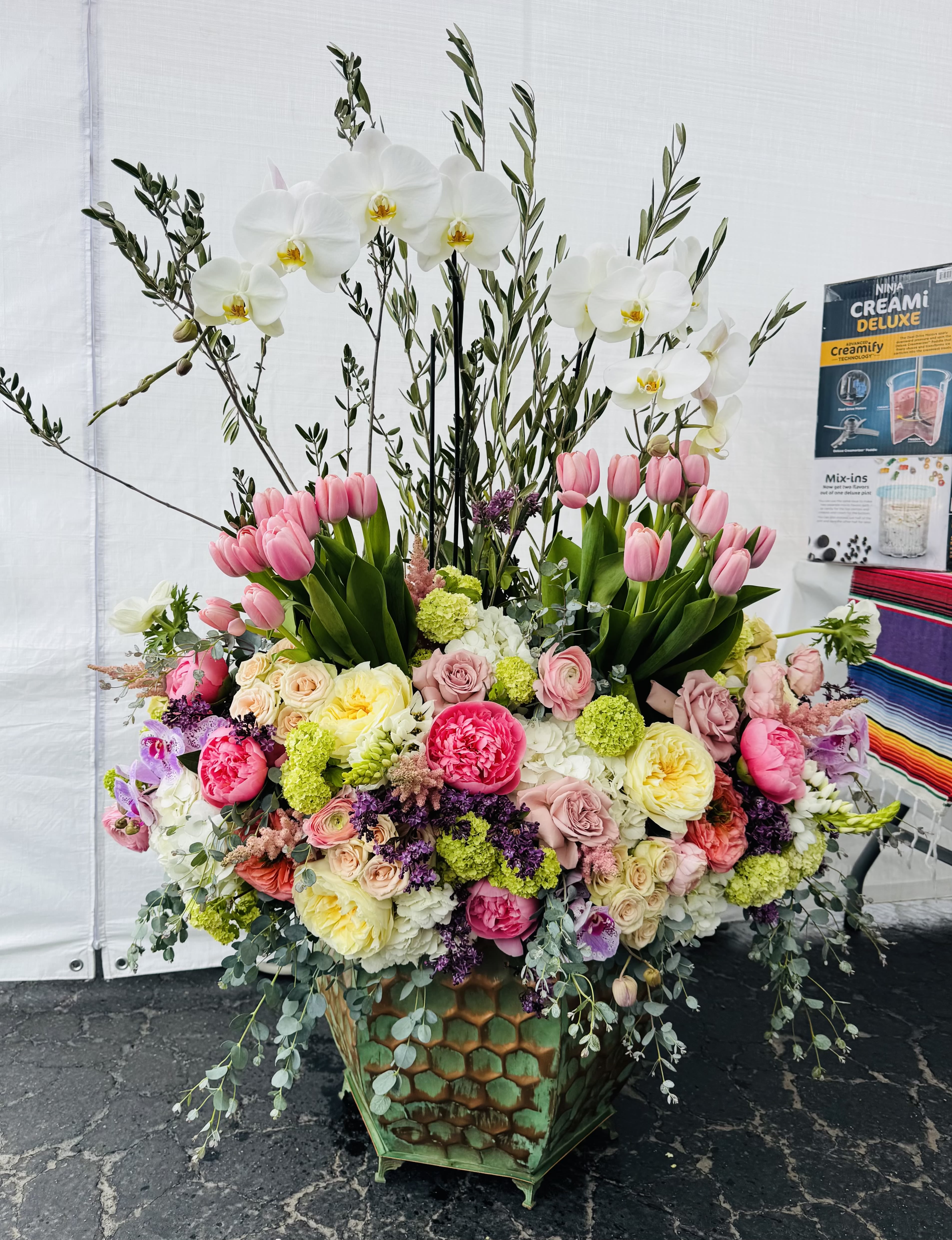 Italy of love - Super large container with two live Orchids with luscious European flowers. 