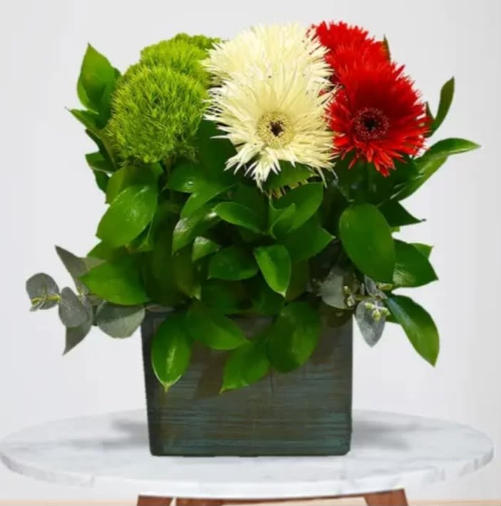 VICENTE - Beautiful cube with a composition of Mexican colors, perfect for celebrations