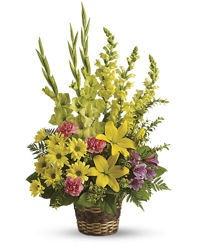 Vivid Recollections Vivid Recollections - Send sunshine to show you care. A symbol of friendship, these yellow sympathy flowers are accented with pretty pink carnations for a classic sympathy basket that will warm anyone's heart. This sunny arrangement includes flowers such as yellow asiatic lilies, yellow gladioli, yellow snapdragons, pink carnations, yellow daisies and greens such as oregonia, salal and leatherleaf fern. Delivered in a round basket.