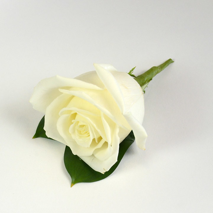 White Rose Boutonniere  - White rose boutonniere. Assorted colors available. Please specify rose color choice: Yellow, Lavender, Light Pink, Bright Pink and Red