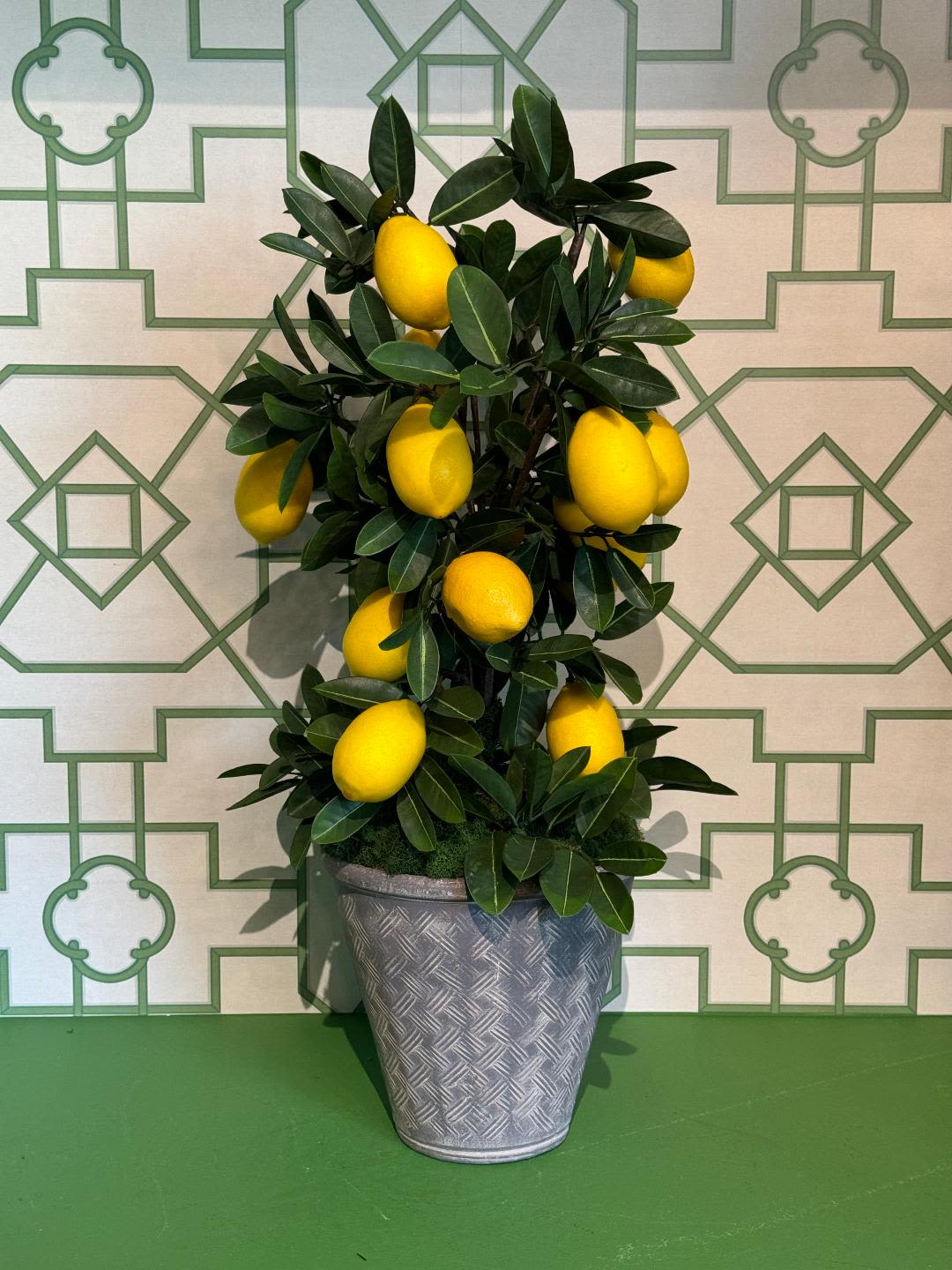Faux Lemon Tree - Bring a touch of Mediterranean charm into your space with this realistic, high-quality faux lemon tree. Carefully crafted to replicate the vibrant leaves and lifelike lemons, this tree is accented with moss for an added natural touch. Set in a soft grey ceramic pot, it offers timeless style and a refreshing pop of color, perfect for brightening any room. Ideal for low-maintenance decor, this faux tree requires no watering or sunlight, making it a perfect addition to your home or office.  Please note: Due to the nature of faux plants, slight variations in color and appearance may occur, ensuring each piece is unique.