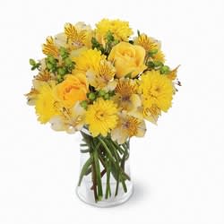 Sunny Day Bouquet Sunny Day Bouquet - Such a happy bouquet -- it's practically begging to be shared! These bright yellow roses, Peruvian lilies and cushion poms are ready to bring sunny wishes into any home. Send for any occasion (or no occasion at albpand watch the smiles happen. Approximately 12H" X 10W".