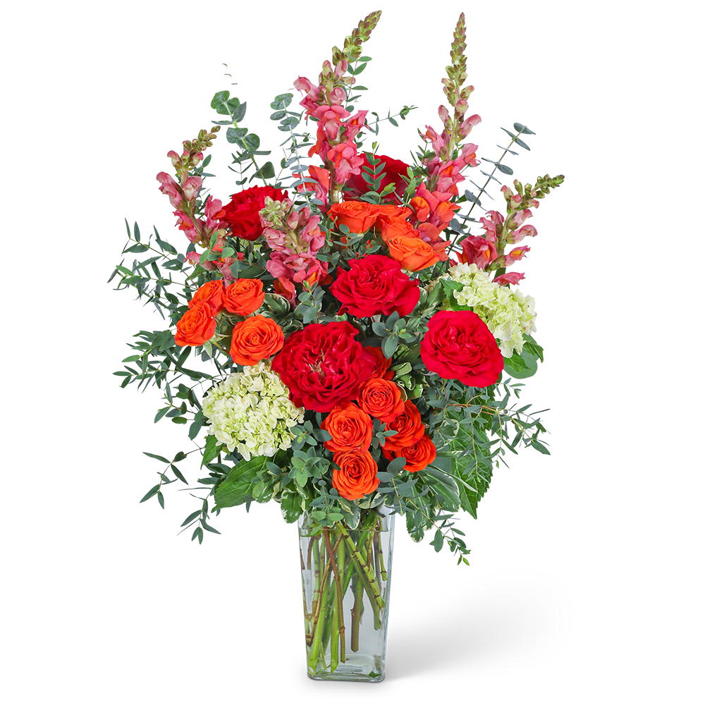 Capri Coast - The warm glow of sunset is captured in this stunning arrangement. Capri Coast features roses, hydrangeas, snapdragons, and assorted foliage in a clear glass vase. Whether celebrating a birthday, a new baby, or an anniversary, this bouquet will add just the right touch of warmth to your celebration. What a great way to bring a touch of happiness into the home or office.