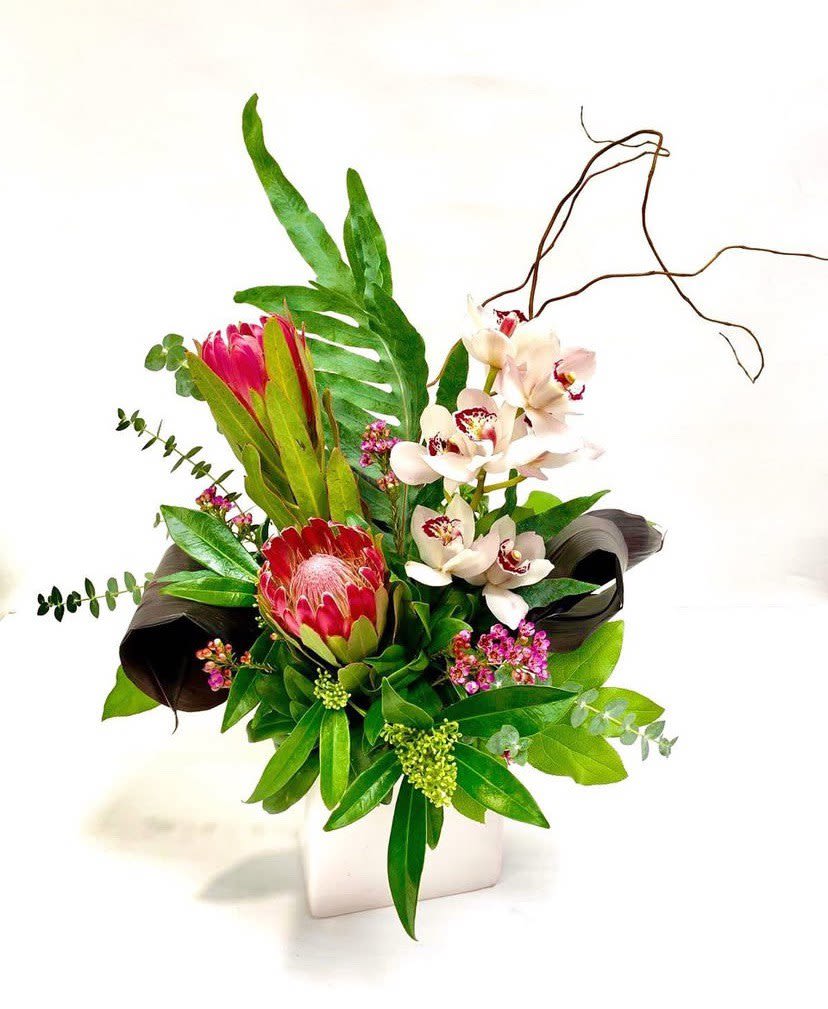 Wild Grace - A striking floral arrangement with exotic orchids, vibrant proteas, and lush greenery, artfully designed with natural branches for a modern, elegant touch. Perfect for adding a sophisticated and tropical feel to any space or occasion.