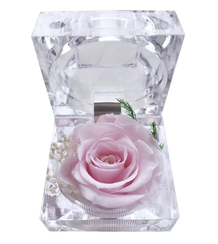 Mini preserved Rose Mini preserved Rose - Preserved Real rose in a delicate clear ring box. Dimensions: 1.75"D x 1.75"W x 1.88H
