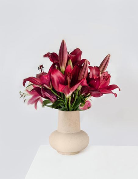 Pinot in a Vase Pinot in a Vase - Pinot colored lillies in a stylish vase.