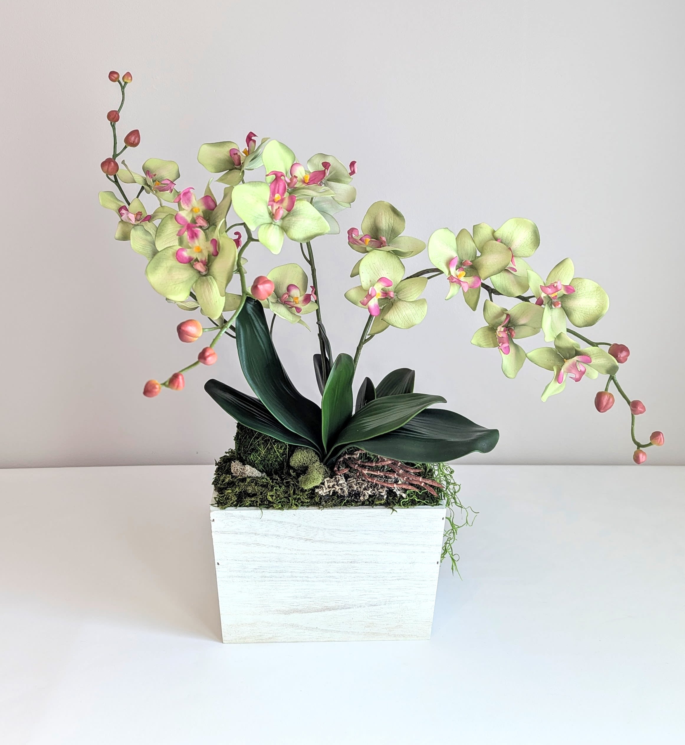 Silk Phalaenopsis Orchid Dish Garden - Green Apple - This one of a kind artificial orchid planter is the perfect gift to give friends and loved ones for any occasion. They are beautiful, everlasting and are a great alternative to traditional flowers. This gorgeous, handcrafted design includes realistic faux green orchids with a pink center accented with other natural elements like, a preserved moss ball, moss varieties &amp; lichen that add to the arrangements overall design composition &amp; beauty. This dish garden is designed in a rustic style, rectangular shape, white washed wooden planter adding a fresh look &amp; a touch of charm to the overall feel &amp; look of the piece. This handcrafted gift was made with meticulous attention to detail using high quality items. A stylish orchid planter will add a touch of timeless elegance &amp; sophistication to any indoor space, whether home or office, it will be enjoyed for many years to come!   Measures 21&quot; tall and 21&quot; wide