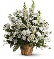 Heavenly Light Heavenly Light - This exquisite bouquet includes white alstroemeria, snapdragons, stock and cushion spray chrysanthemums and is accented with eucalyptus and lemon leaf. Delivered in a 6" natural pot basket. Approximately 25 1/2" W x 28 1/2" H