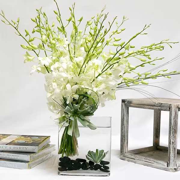 Island Love - Love this arrangement but want more flowers included? This is the perfect option – We always fill to value with additional flowers and greens added to this amazing arrangement.  Standard: 15 Stems Deluxe: 20 Stems