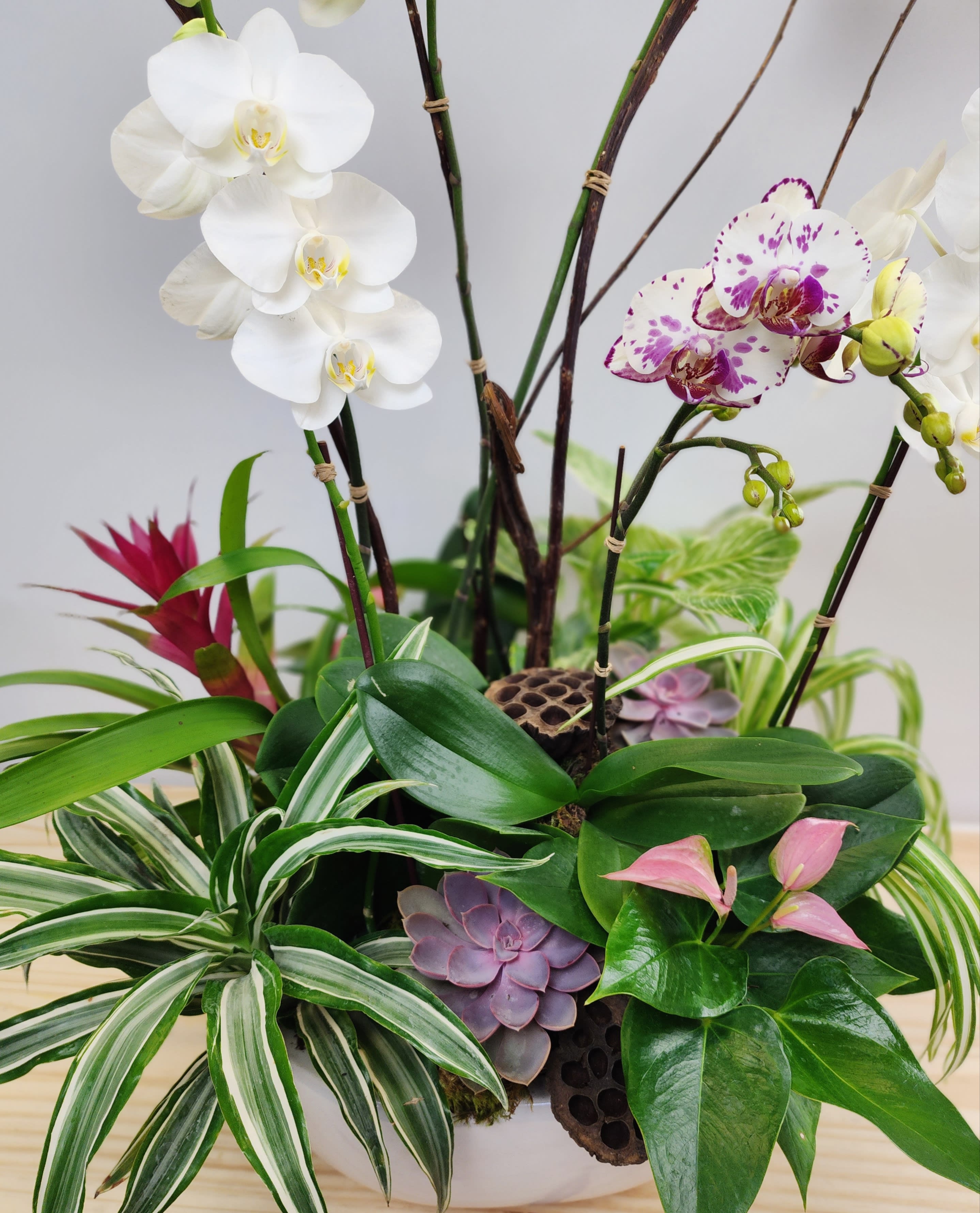 Deluxe Custom Orchid Planter with Succulents  - Let us create an amazing display of live orchid plants, green plants, blooming plants and Succulents. This is perfect for just about anything.  Sure to wow anyone that receives this beauty. Each one created different depending on the. season. Approx 30&quot; tall x 20&quot; wide... possibly taller