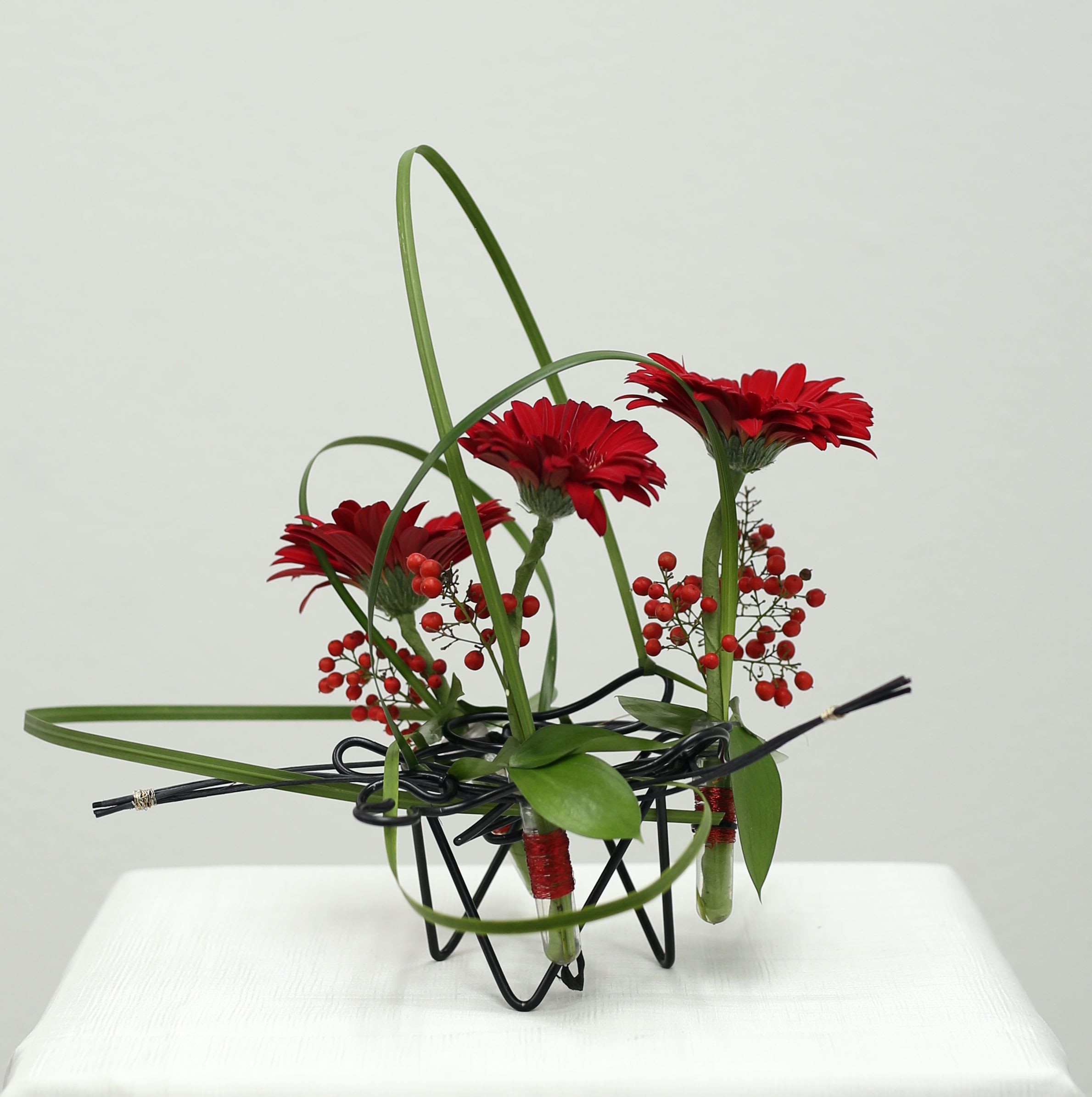 Red Nose Red Nose - This micro arrangement can be customized to whatever blooms you desire. It's cute and fun and flirty!