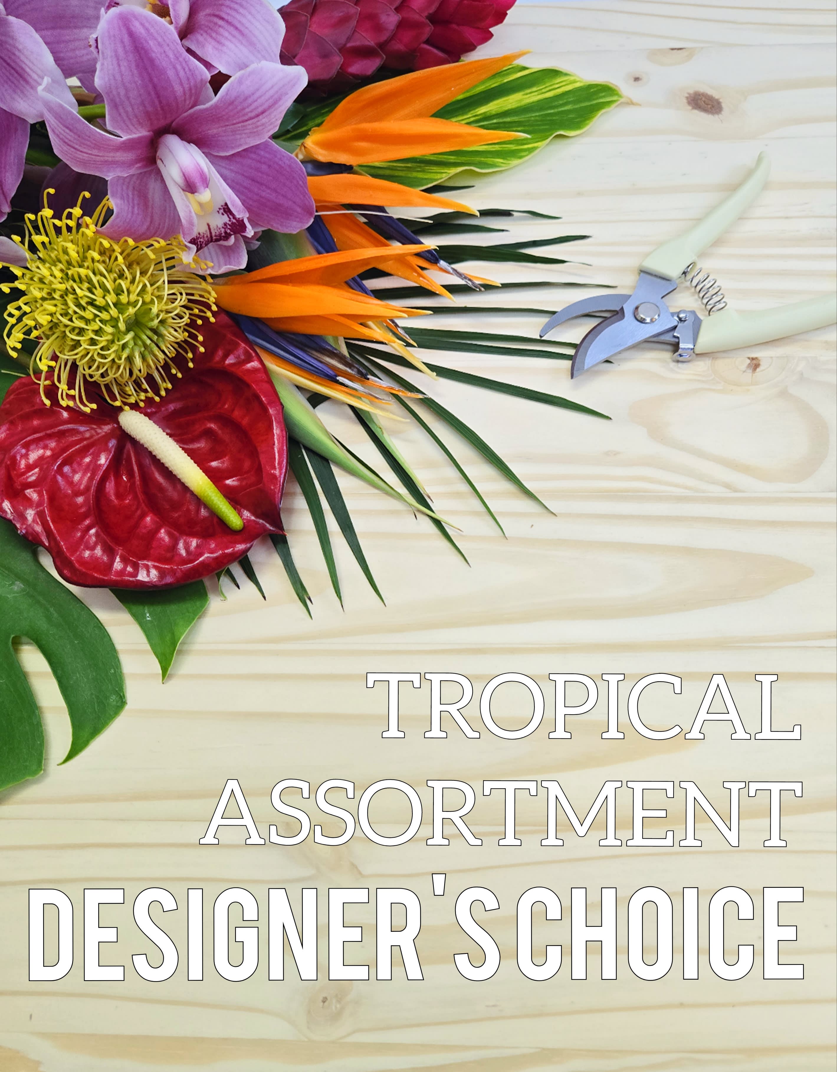 Tropical Assortment DESIGNER'S CHOICE Tropical Assortment DESIGNER'S CHOICE - Let our designer's create a beautiful one of a kind fresh Tropical/Exotic style flower arrangement. We will hand select from our daily seasonal fresh flower. This allows our Floral Designer's to create the most beautiful one of a kind Perfect for any occasion using our freshest flowers brought in daily. The arrangement will be designed in a container of designers choice. ***THIS SELECTION IS ASSORTED TROPICAL FLOWERS. NOT NECCESSARILY THE FLOWERS SHOWN IN PHOTO. This is just a assorted variety selection. Flowers will be chosen by floral designer appropriate for the current time of year.