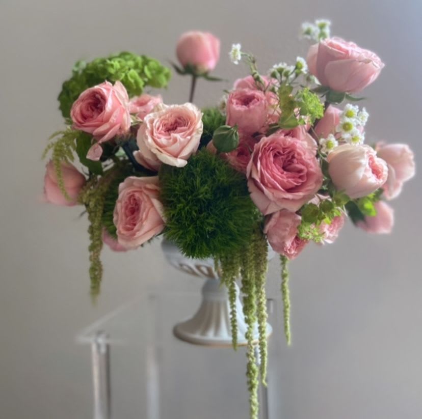 Mom’s Spring Garden  - Celebrate the beauty of motherhood with our luxurious Mom’s Spring Garden flower arrangement, a breathtaking display crafted to honor the remarkable women in our lives. This stunning creation features a harmonious blend of mini pink garden roses, vibrant green trick dianthus, lush hydrangea, and the captivating elegance of hanging amaranthus, all artfully presented in an exquisite compote dish.  The soft blush of the mini pink garden roses symbolizes love and admiration, while the playful green trick dianthus adds a fresh and lively contrast, embodying the joy that mothers bring to our lives. The hydrangea, with its abundant blooms, provides a lush and opulent backdrop, while the graceful tendrils of hanging amaranthus introduce a touch of drama and sophistication to the arrangement.  Perfectly suited for Mother's Day celebrations, this arrangement can also be perfect for everyday and is a heartfelt tribute that conveys your deepest appreciation and affection. It serves as a beautiful centerpiece in any home or a thoughtful gift, encapsulating the essence of elegance and warmth, making this Mother’s Day truly unforgettable.