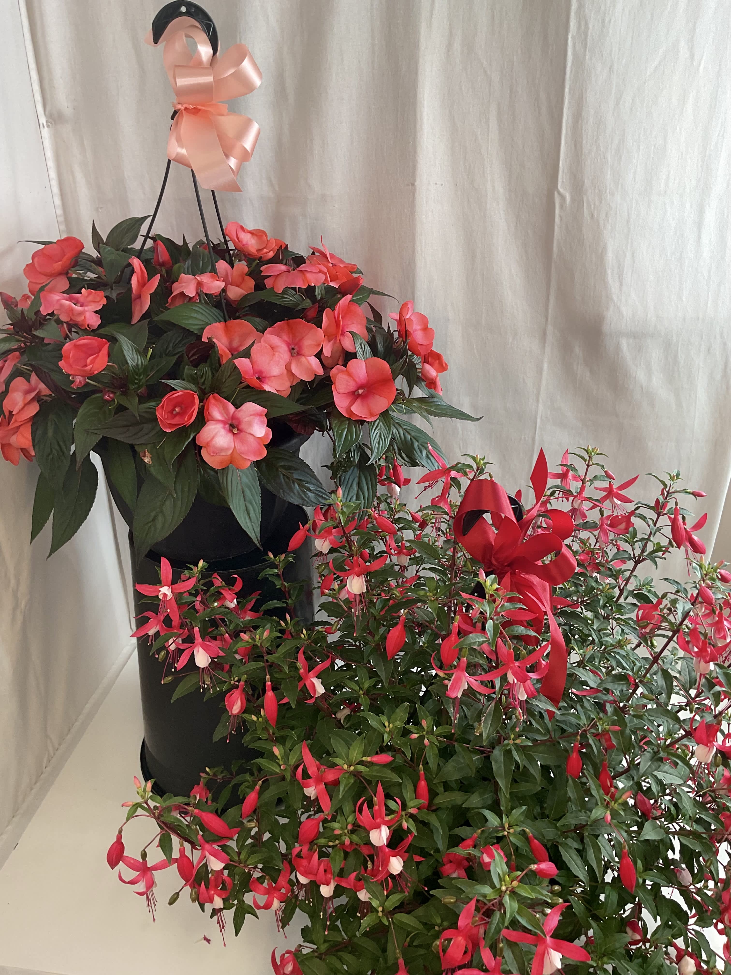 Shady Hanging Basket Pair - A pair of hanging baskets that feature shade-loving flowers that thrive in less sunny areas. They are a tranquil and cooling display suitable for porches, balconies, or parts of the garden without direct sunlight.