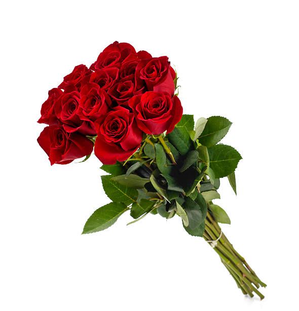 Dozen Red Roses wrapped - Dozen long stem red roses wrapped 