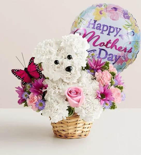 Precious Pup™ with Balloon Precious Pup™ with Balloon - EXCLUSIVE Our truly original 3D pup is a precious Mother’s Day surprise. Crafted from white carnations, with sweet pink blooms all around and a butterfly accent, this canine creation is designed in a dog bed basket. For more happy wishes, add our festive “Happy Mother’s Day” balloon. One-sided, 3D arrangement with white carnations crafted in the shape of a dog complete with eyes and nose; surrounded by a mix of pink roses, light pink mini carnations and purple monte casino; accented with assorted greenery and butterfly pick. Arrangement measures approximately 11"H x 11"W Artistically designed in our lined wicker pet basket; measures 3.5"H x 5"D Our florists hand-design each arrangement, so colors and varieties may vary due to local availability Mother’s Day Mylar balloon measures 18"D; design may vary due to local availability